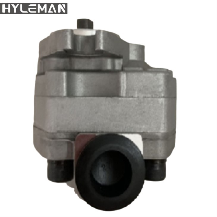 Teile 200-3408 Zahnradpumpe für Catt200b