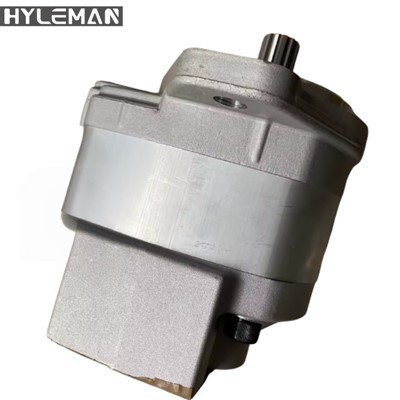 D85 Hydraulikpumpen-Zahnrad-Pilotpumpe