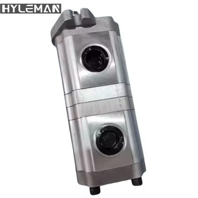 E200-1 Duplex-Hydraulikzahnradpumpe Preis