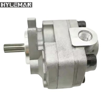 Hydraulikgetriebepumpe für 300-8