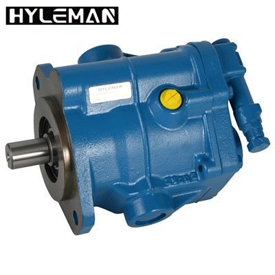 Industrielle Kolbenpumpe